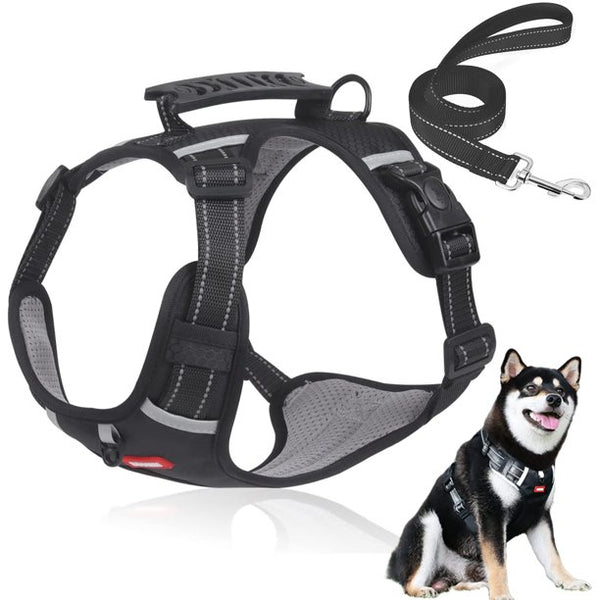 No Pull Dog Harness with 5FT Dog Leash, Reflective Dog Vest with Easy Control Handle, Adjustable Soft Padded Pet Vest for Small Medium Large Dogs