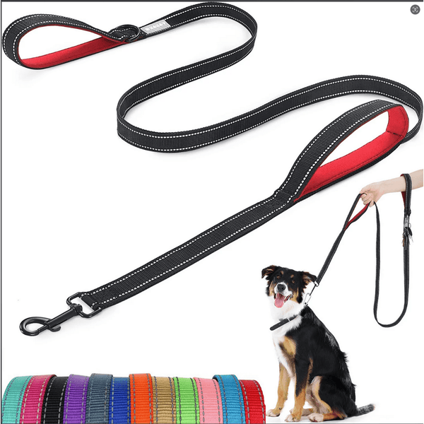 GAZILY Heavy Duty Comfortable Strong Rope Leash for Large, Medium Dogs, No Pull Pet Training Leash with Highly Reflective