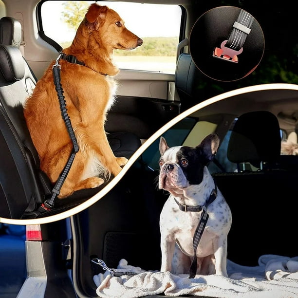 Dog Seat Belts for Car, Seat Belt for Dogs with Elastic Bungee Buffer, 360 Degree Swivel Attach Won't Twist，Dog Car Harnesses with Reflective Strips